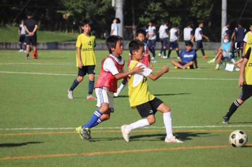 CF8BBC51-39B7-4F7A-B54F-240B04EB78D6