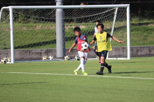 D6ECD5F5-493C-48D9-A95A-2EE19E6A1BFA