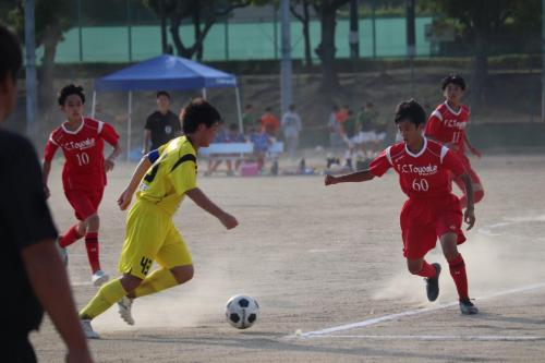 D71F507C-3E35-4C76-AE9C-4870FAE843C7