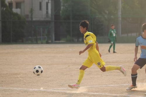 D80B4011-C05A-4804-8007-4B573A642B4F