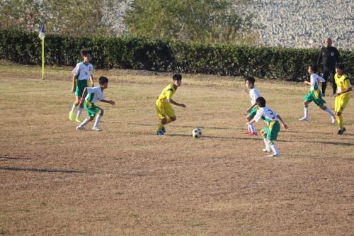 E55659F6-6886-4623-89FA-B11EBF19ED66