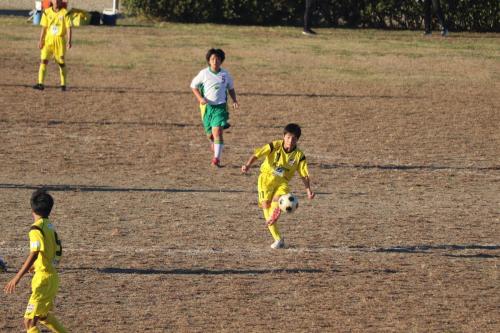 E7325917-DDB0-4805-B4A4-0F557E794677