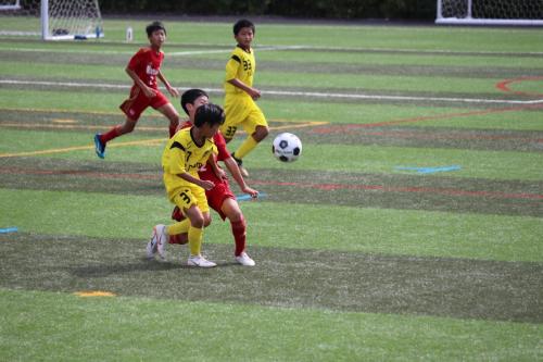 E7B5BD0B-26FA-4183-BBB9-AB578F3D3D4F