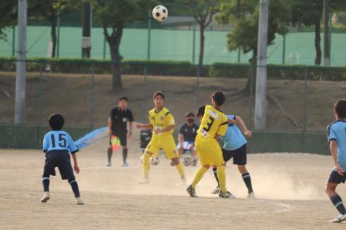 E8BB558E-C22D-4515-927C-5A2654A2F084