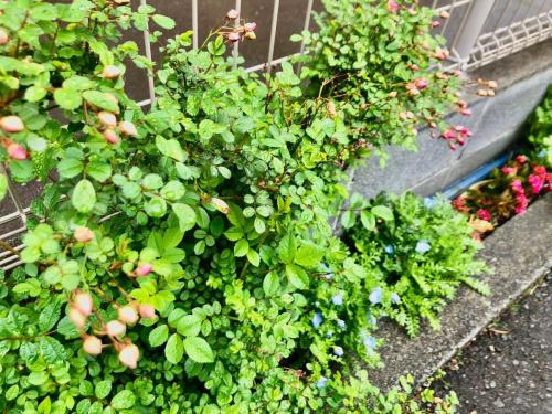 EFB6E030-5980-434C-9881-087FA631E73A