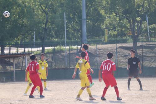 FE51530D-F4D9-43C6-A5E6-8F32981463A8